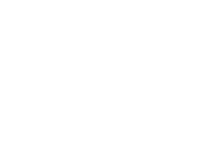 5tardium-logo-transparant